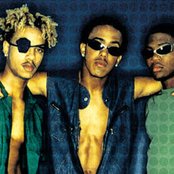 Immature - List pictures