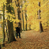 Pole - List pictures