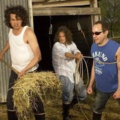 Meat Puppets - List pictures