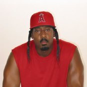 Celly Cel - List pictures