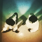 Thumpers - List pictures