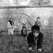 Will And The People - List pictures