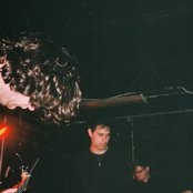 The Bug - List pictures