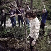 Sleepy Sun - List pictures