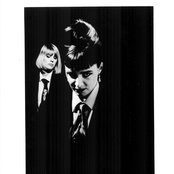 Voice Of The Beehive - List pictures