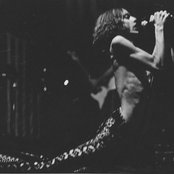 Stooges - List pictures