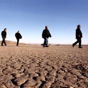 Los Lobos - List pictures