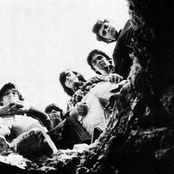 The Count Five - List pictures