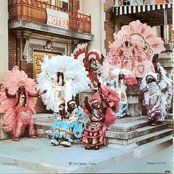 The Wild Magnolias - List pictures