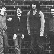 Half Japanese - List pictures