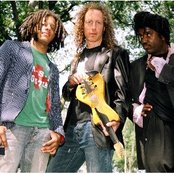 Eclectica - List pictures