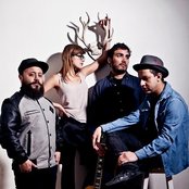 Hello Seahorse - List pictures