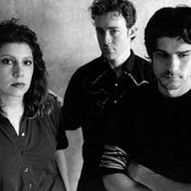 Low - List pictures