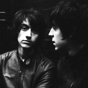 The Last Shadow Puppets - List pictures
