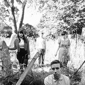 Veronica Falls - List pictures