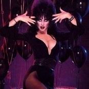 Elvira - List pictures
