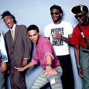 Fishbone - List pictures