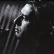 Alain Bashung - List pictures