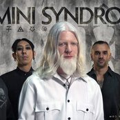 Gemini Syndrome - List pictures