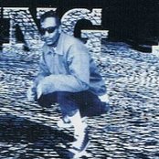 Young Ace - List pictures