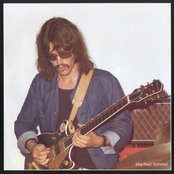 Lily - List pictures