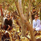 Fool's Gold - List pictures