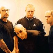 Endo - List pictures