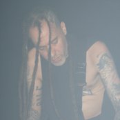 Bile - List pictures