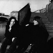 Yanka - List pictures