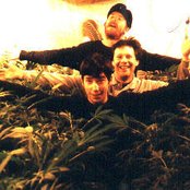 Pansy Division - List pictures