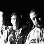 Ugly Duckling - List pictures