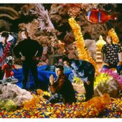 Inspiral Carpets - List pictures