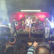 Bamboo - List pictures