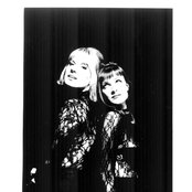 Voice Of The Beehive - List pictures