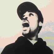 Wiley - List pictures