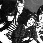 X-ray Spex - List pictures