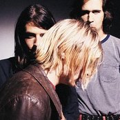 Nirvana - List pictures