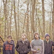 Willow - List pictures