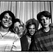 Gigolo Aunts - List pictures