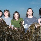 Drop Dead, Gorgeous - List pictures