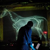 Vitalic - List pictures