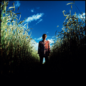 Paul Weller - List pictures