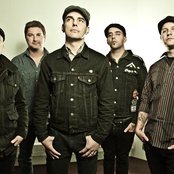 Street Dogs - List pictures