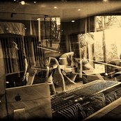 Solar Bears - List pictures