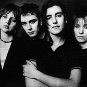 Elastica - List pictures
