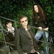 Savoy - List pictures