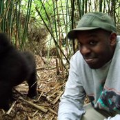 Shad - List pictures