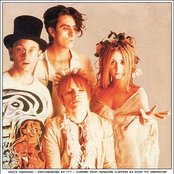 Daisy Chainsaw - List pictures