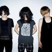 Chat Monchy - List pictures