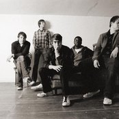Plain White T's - List pictures
